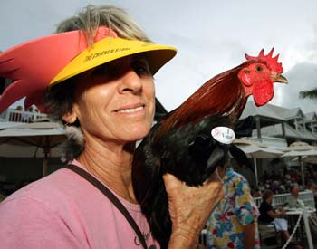 Pet Masquerade and Parade 2007 photo - Duval Street, Key West
